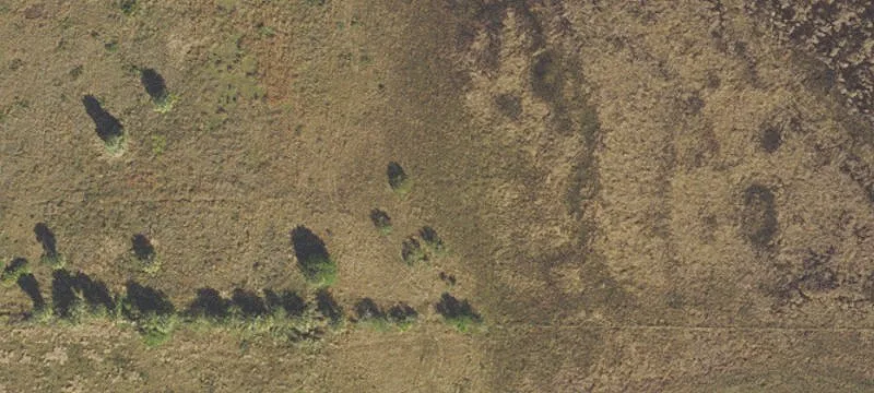 Agricultural Land Parcel