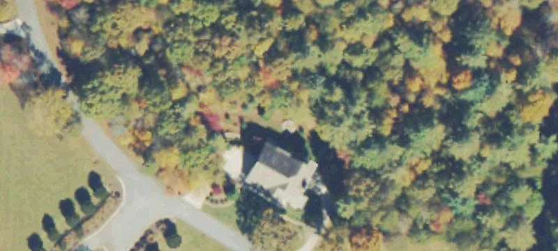 Wooded Corner Building Lot