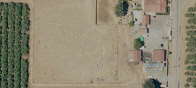 Almond Orchard with Irrigation