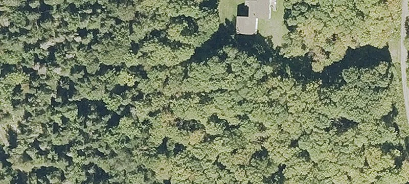 Wooded Acreage Home Site