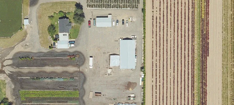 Turnkey Irrigated Nursery Operation