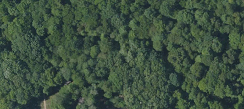 Country Building Lot
