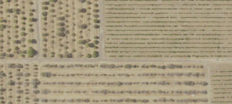 Agricultural Land with Orchard