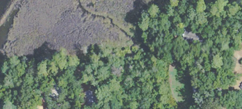 Wooded Residential Homesite Land