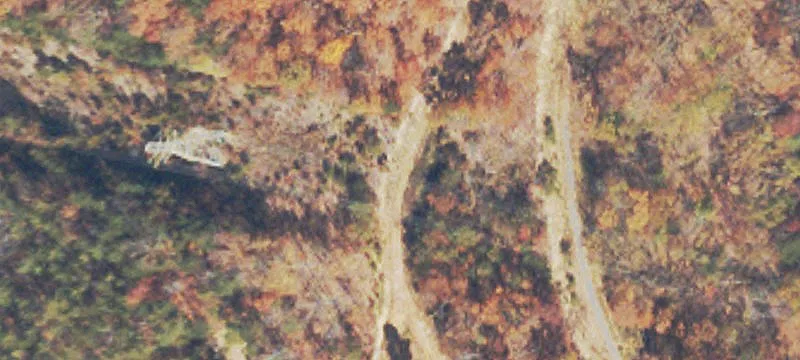 Recreation Land with Homesite