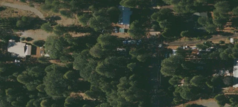 Tree-Covered Residential Land Lot