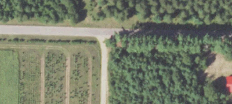 Wooded Recreation Land