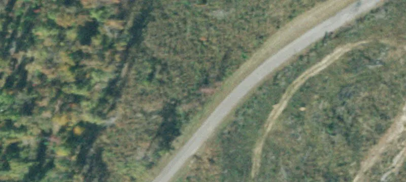 Wooded Hunting Land with Road Access