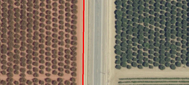 Vacant Hunting Land Parcel