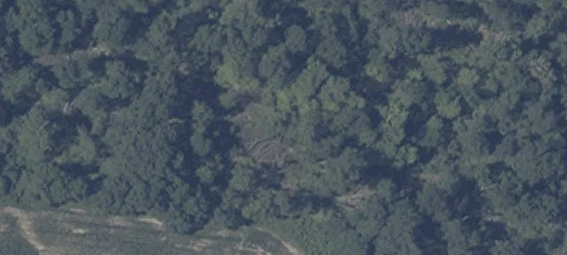 Agricultural Land with Hunting Grounds