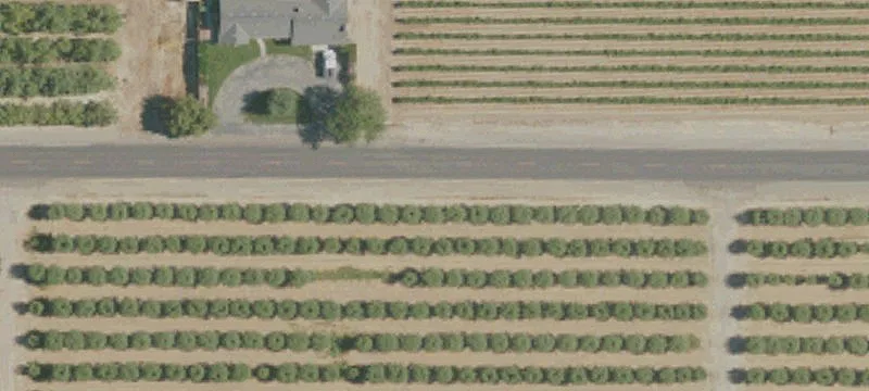 Ranch Almond Vineyard Property