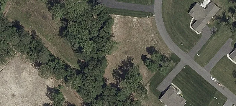 Homesite Building Lot with Tree Line