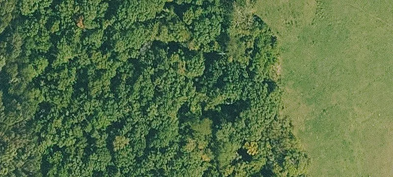 Ranch Property with Spring-Fed Creek