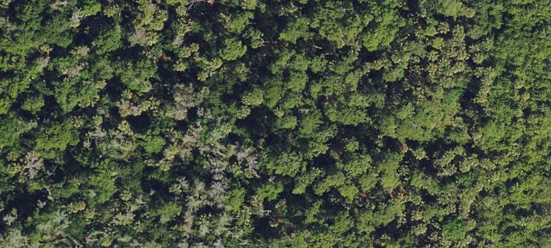 Residential Land Lot