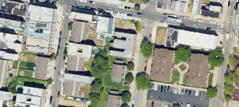 Legally Zoned Triplex with Rear Yard