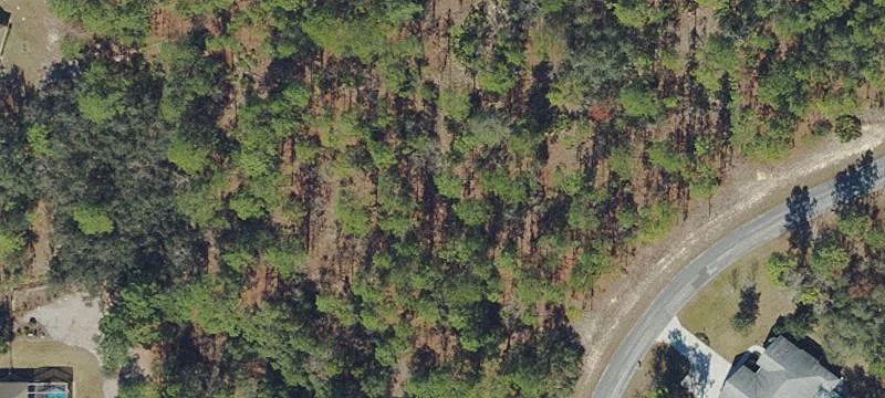 Equestrian-Ready Farmland Parcel