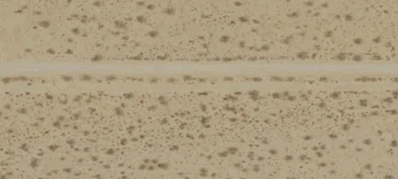 Residential Development Land Lot