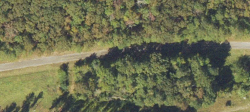 Rural Acreage with Homesite Prep