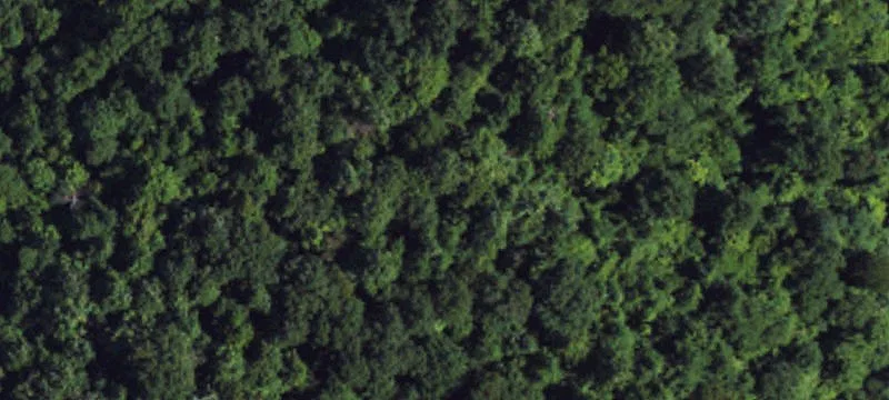 Wooded Hunting and Recreation Land