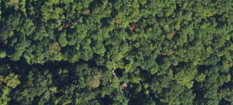 Wooded Mountain Ridge Land with Easement