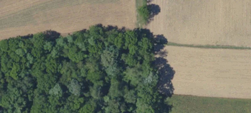 Agricultural Land Tract