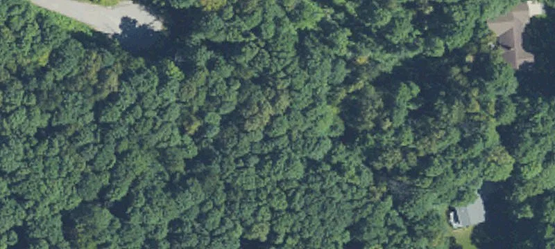 Wooded Cul-de-Sac Homesite