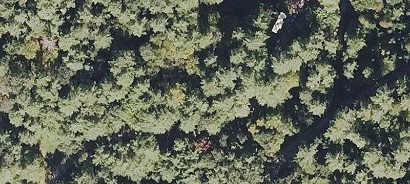 Cleared Buildable Mountain View Lot