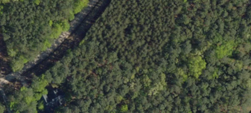 Flat and Wooded Building Lot
