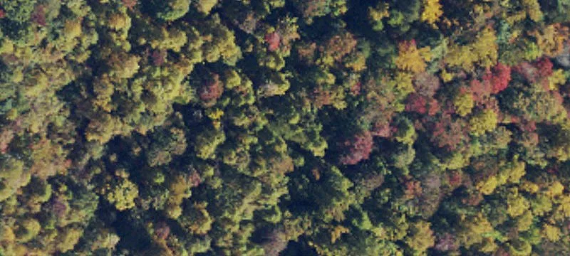 Wooded Hunting and Recreation Land