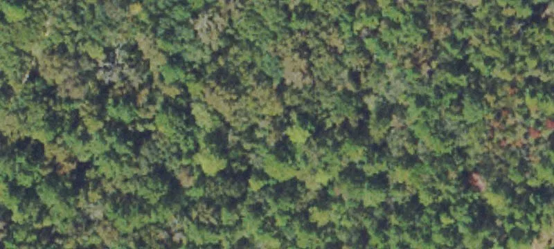 Buildable Homesite on Bluff