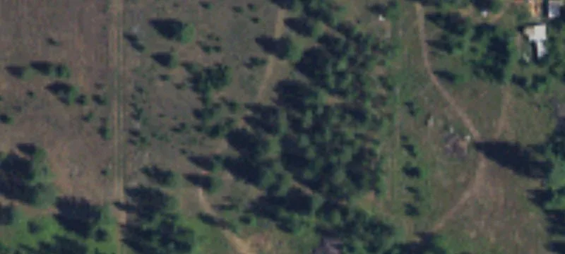 Forested Land with Mountain Views