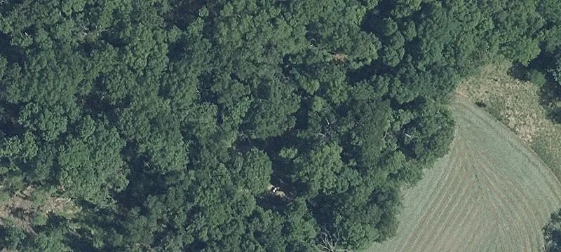 Private Wooded Home Site Land