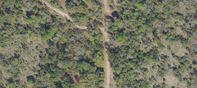 Partially Improved Agricultural Land