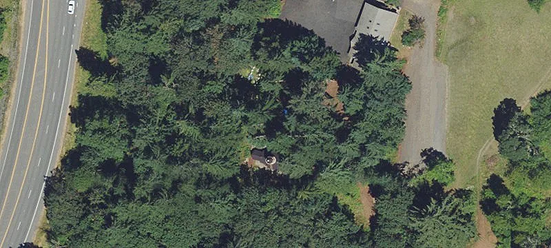 Timbered EFU Land Parcel