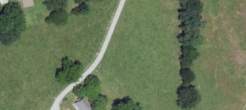Equestrian & Livestock Ranch Property