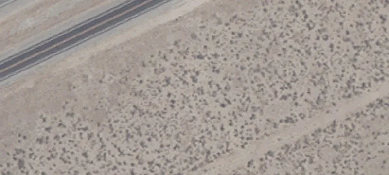 Residential Development Lot