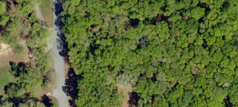 Wooded Hunting and Recreation Land