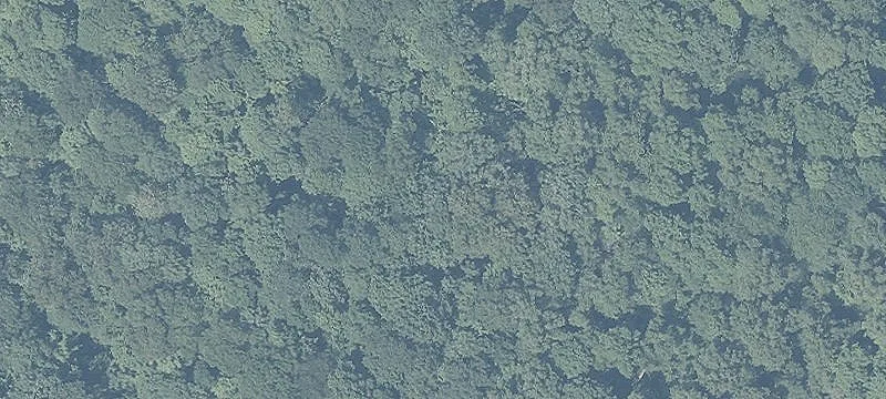 Wooded Hunting Tract with Creek