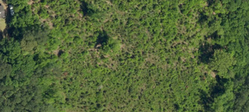 Flat Farmland Tract with Wide Frontage