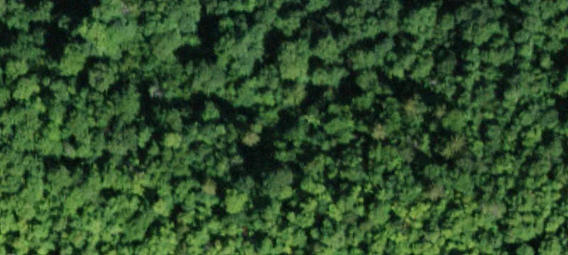 Buildable Mountain-View Home Lot