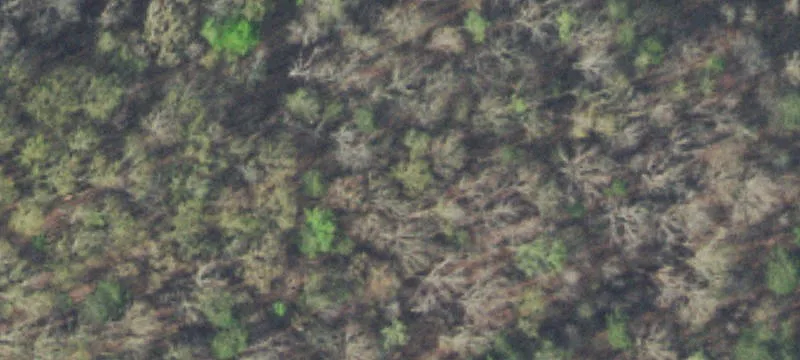 Agricultural Land with Pond