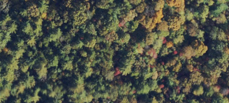 Wooded Mountain Homesite Land