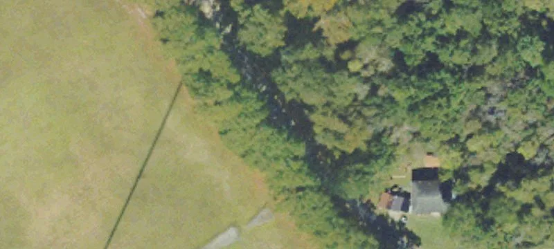 Recreational Timber Hunting Tract