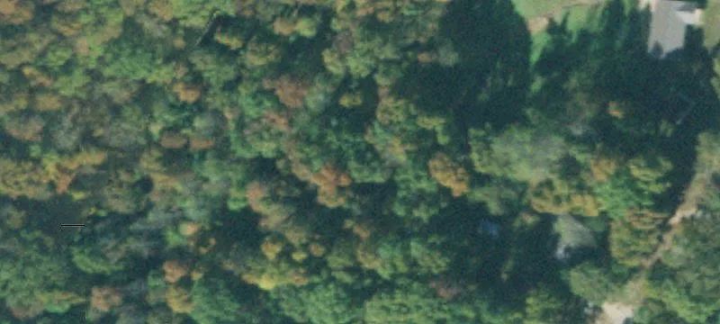 Rural Residential Land Tract