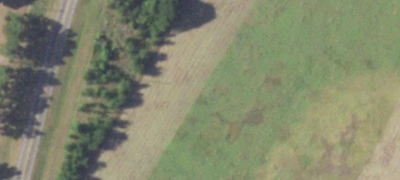 Small Acreage with Steel Shop