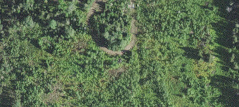 Waterfront Wooded Land Tract