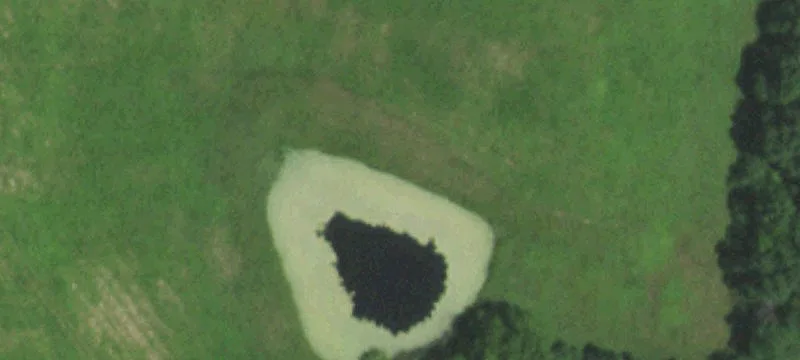 Recreational Hunting Land Tract