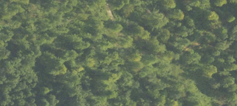 Wooded Residential Land Parcel