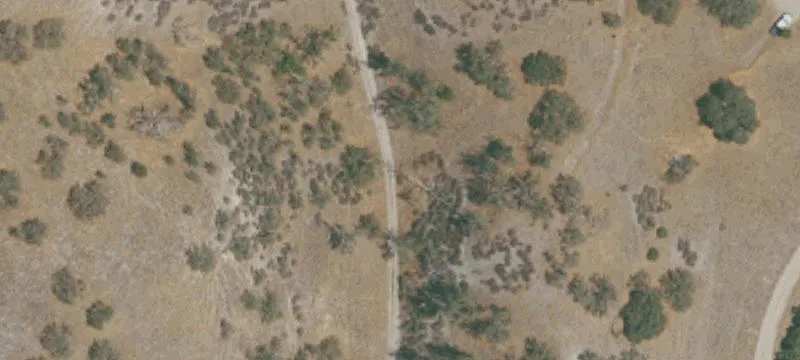 Private Cattle Ranch & Hunting Land