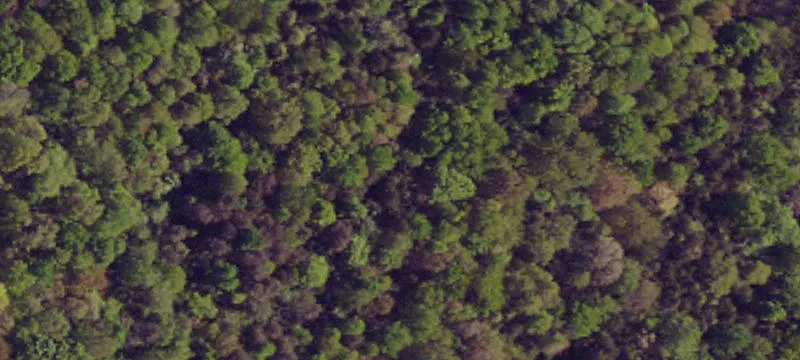 Wooded Hunting Land Parcel